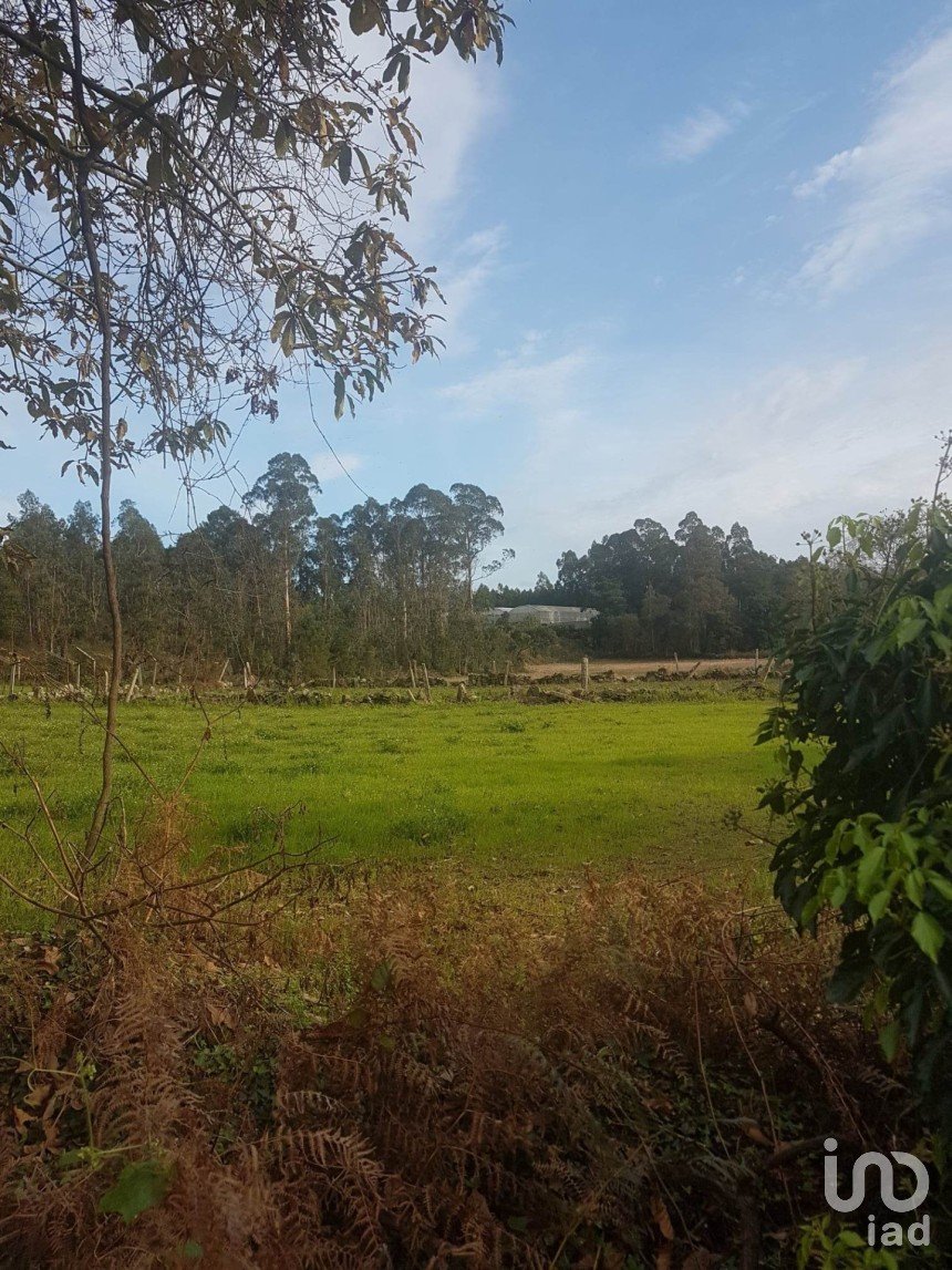 Terreno em Fonte Boa e Rio Tinto de 3 600 m²