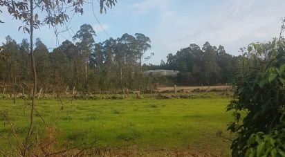 Terreno em Fonte Boa e Rio Tinto de 3 600 m²