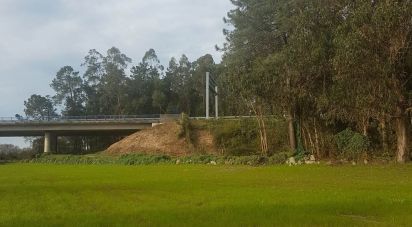 Terreno em Fonte Boa e Rio Tinto de 3 600 m²