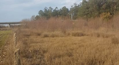 Terreno em Fonte Boa e Rio Tinto de 3 600 m²