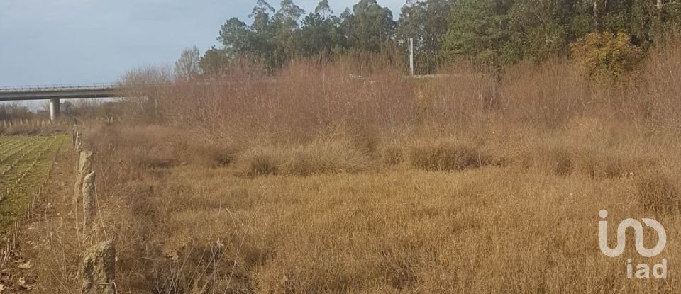 Terreno em Fonte Boa e Rio Tinto de 3 600 m²