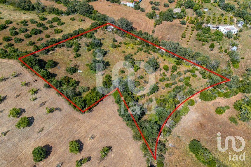 Land in Loulé (São Clemente) of 10,000 m²