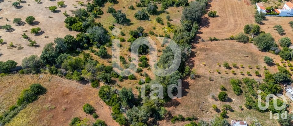 Land in Loulé (São Clemente) of 10,000 m²