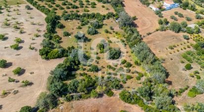 Land in Loulé (São Clemente) of 10,000 m²