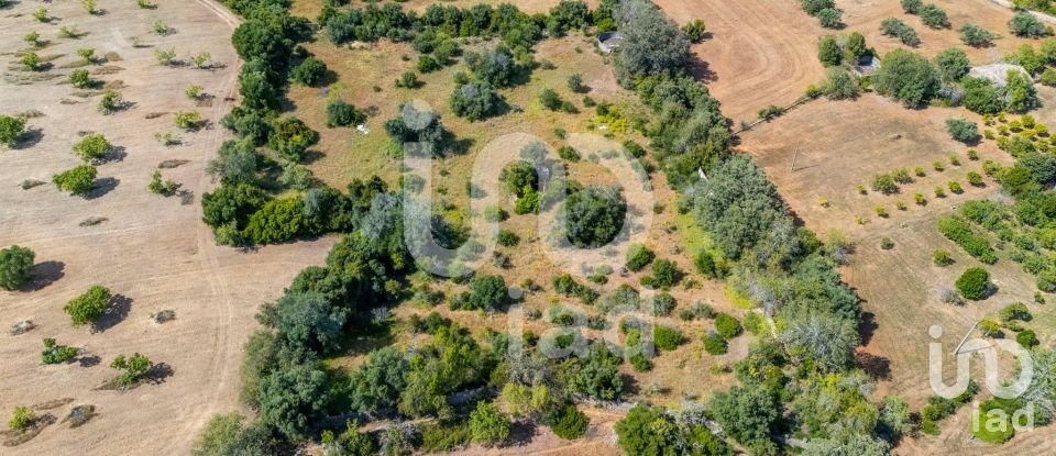 Land in Loulé (São Clemente) of 10,000 m²