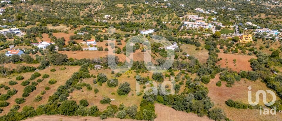 Land in Loulé (São Clemente) of 10,000 m²