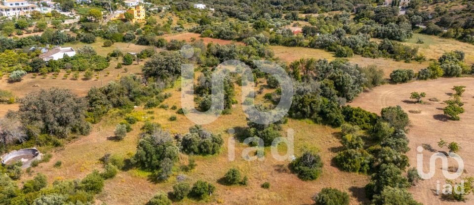 Land in Loulé (São Clemente) of 10,000 m²