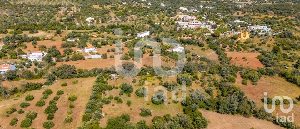 Land in Loulé (São Clemente) of 10,000 m²