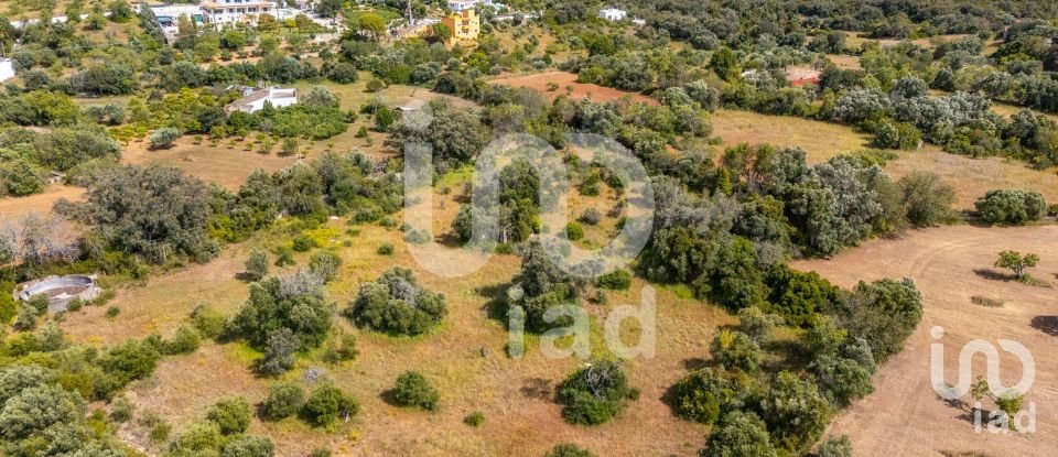 Land in Loulé (São Clemente) of 10,000 m²