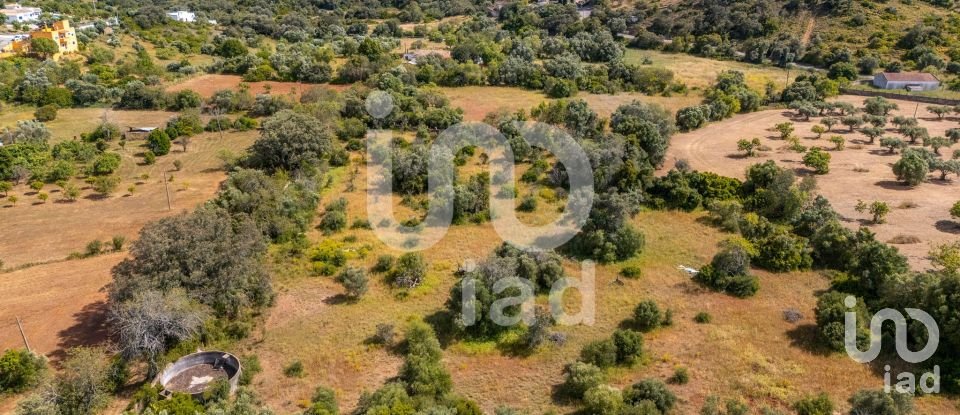 Land in Loulé (São Clemente) of 10,000 m²