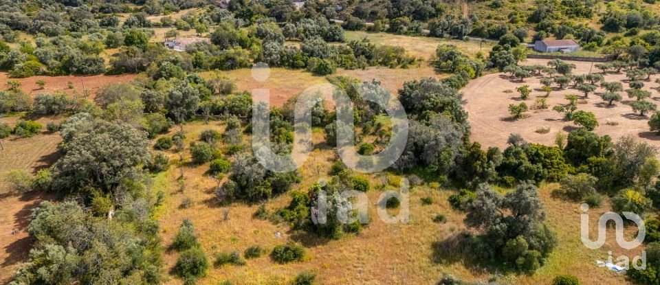 Land in Loulé (São Clemente) of 10,000 m²