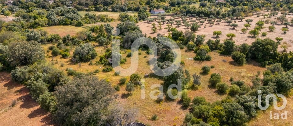 Land in Loulé (São Clemente) of 10,000 m²