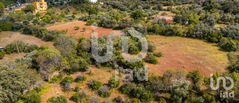 Land in Loulé (São Clemente) of 10,000 m²