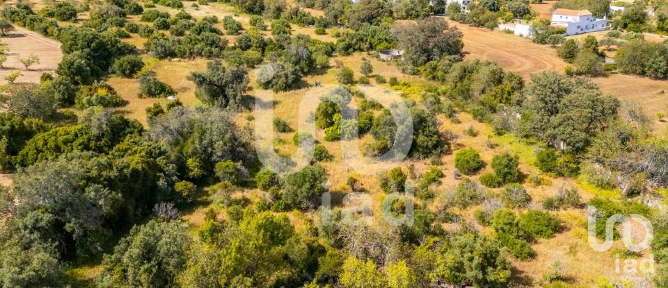 Land in Loulé (São Clemente) of 10,000 m²