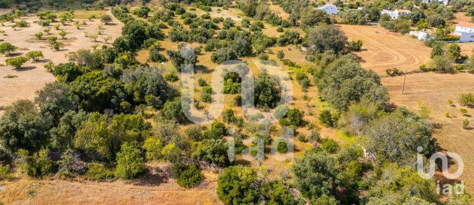 Land in Loulé (São Clemente) of 10,000 m²