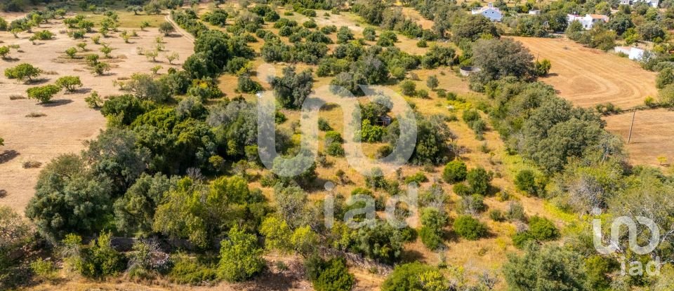 Land in Loulé (São Clemente) of 10,000 m²