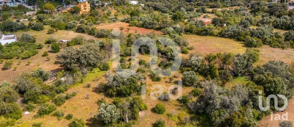 Land in Loulé (São Clemente) of 10,000 m²