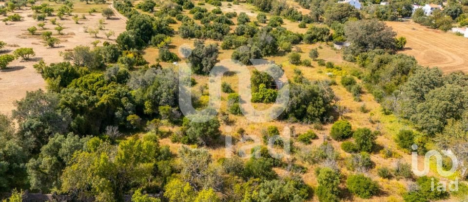 Land in Loulé (São Clemente) of 10,000 m²