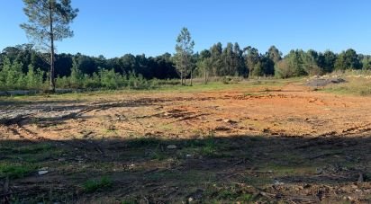 Terreno em Mazedo e Cortes de 6 000 m²