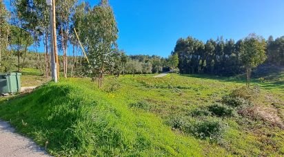 Land in Rio Maior of 1,309 m²