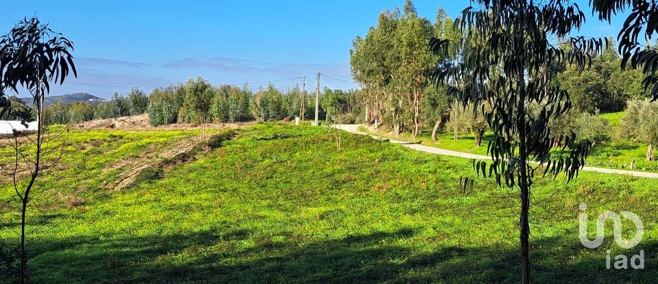 Terrain à Rio Maior de 1 309 m²