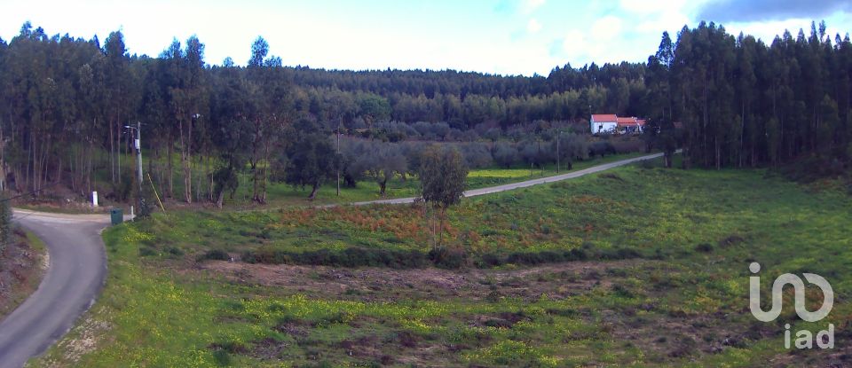 Terrain à Rio Maior de 1 309 m²