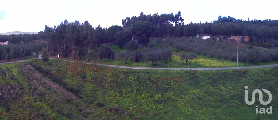 Terrain à Rio Maior de 1 309 m²