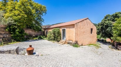 Country house T4 in Alcobertas of 276 m²