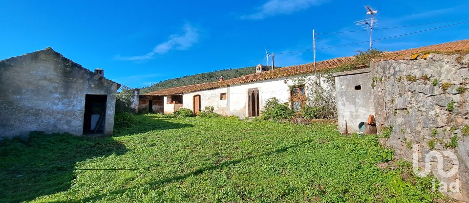 Village house T3 in Alcobertas of 418 m²