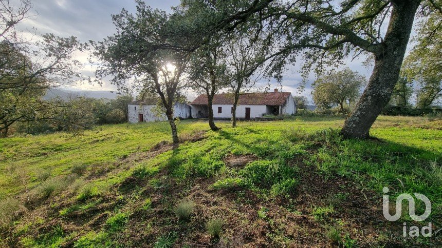 Terreno em Açores e Velosa de 135 434 m²