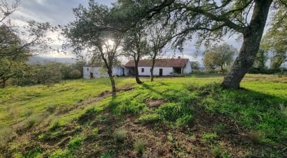 Terreno em Açores e Velosa de 135 434 m²