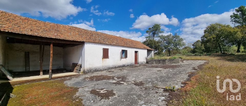 Terreno em Açores e Velosa de 135 434 m²