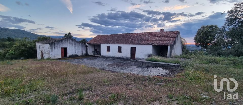 Terreno em Açores e Velosa de 135 434 m²