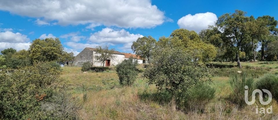 Terreno em Açores e Velosa de 135 434 m²