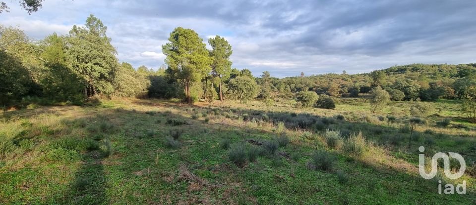 Terreno em Açores e Velosa de 135 434 m²