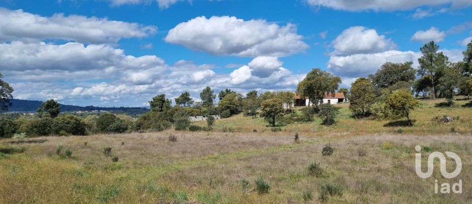 Terreno em Açores e Velosa de 135 434 m²