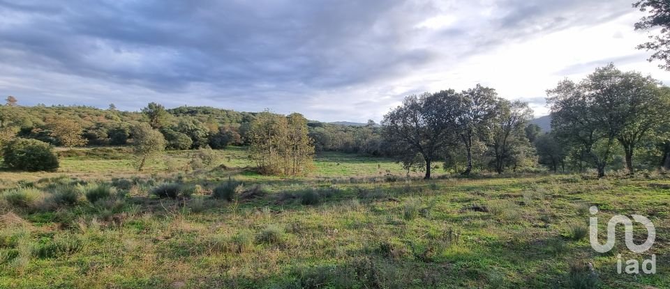 Terreno em Açores e Velosa de 135 434 m²