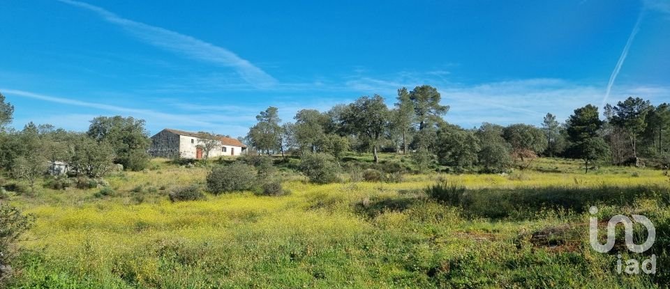 Terreno em Açores e Velosa de 135 434 m²