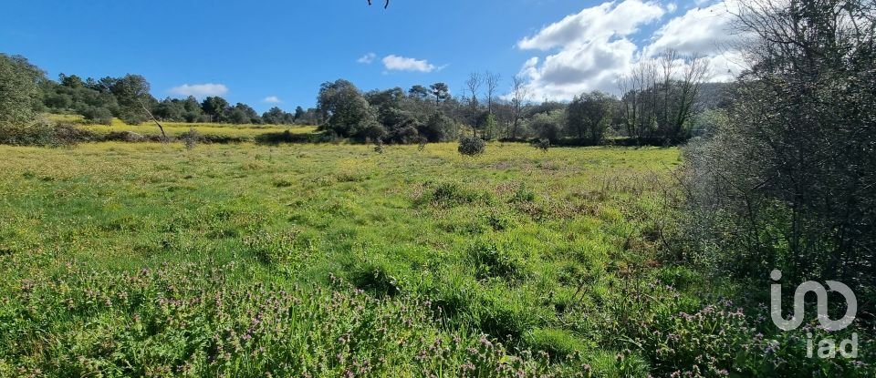 Terreno em Açores e Velosa de 135 434 m²