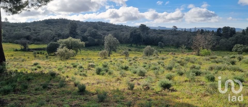 Terreno em Açores e Velosa de 135 434 m²