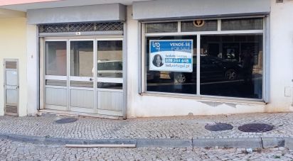 Shop / premises commercial in Cadaval e Pêro Moniz of 142 m²