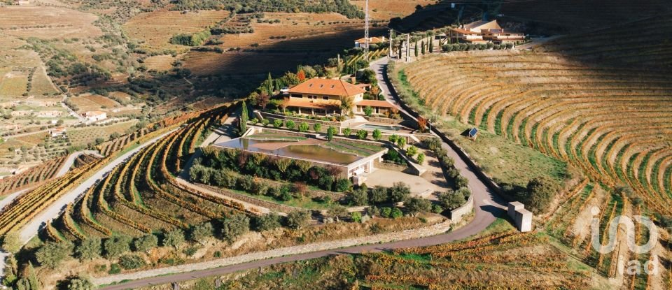 Farm T7 in Folgosa of 1,300,000 m²