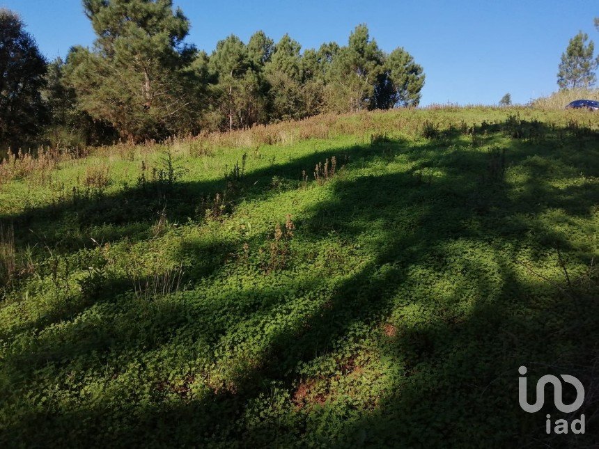 Terreno em Salir de Matos de 6 008 m²