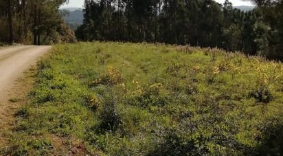 Terreno em Salir de Matos de 6 008 m²