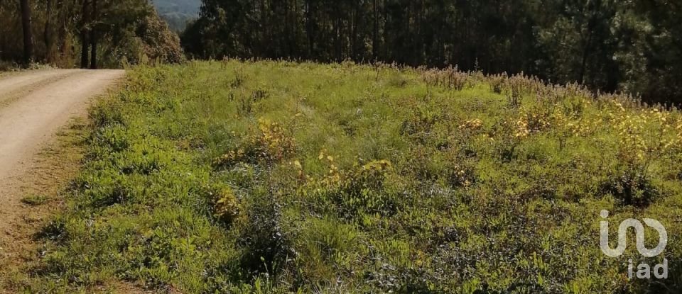 Terreno em Salir de Matos de 6 008 m²