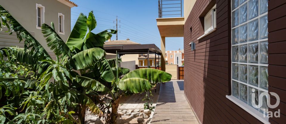 House T3 in Algoz e Tunes of 202 m²