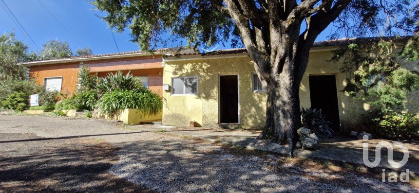 House T3 in Alcobertas of 180 m²