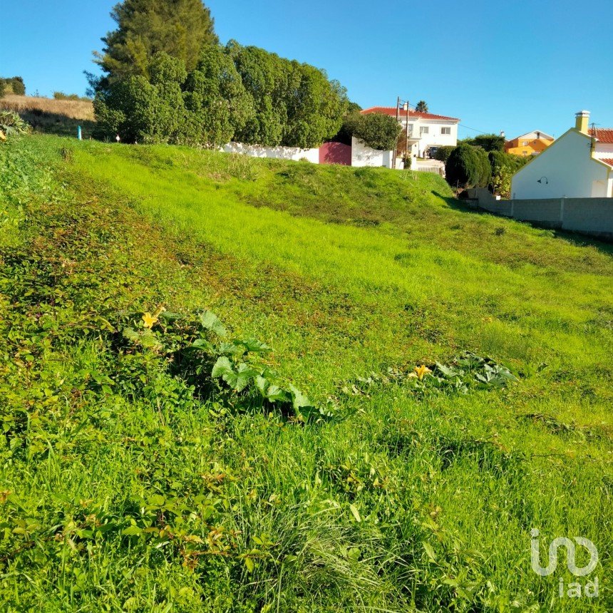 Land in Santa Maria, São Pedro e Sobral da Lagoa of 847 m²