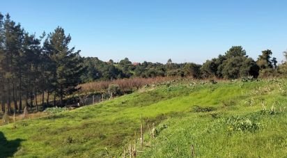 Terreno em Santa Maria, São Pedro e Sobral da Lagoa de 847 m²