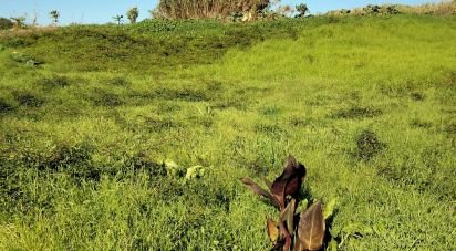 Terreno em Santa Maria, São Pedro e Sobral da Lagoa de 847 m²